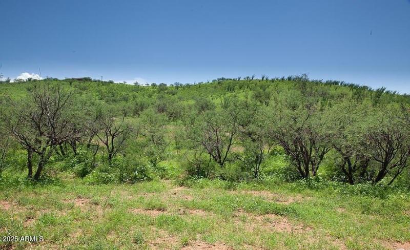 53 Circulo Vista Del Lago