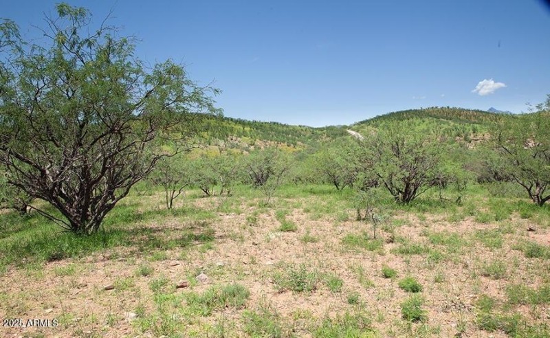 53 Circulo Vista Del Lago