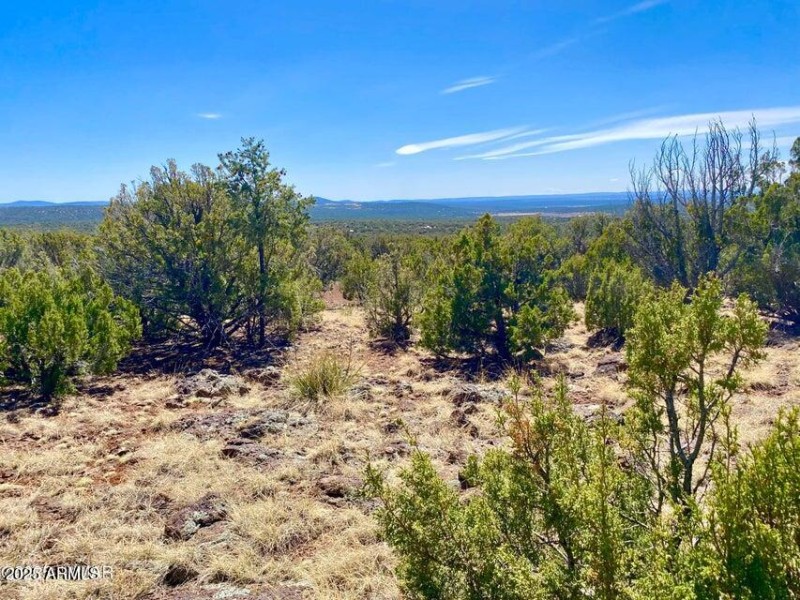 20250503072505498700000000-o