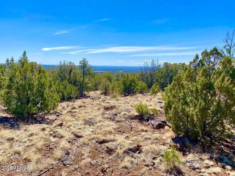 20250503072505790252000000-o