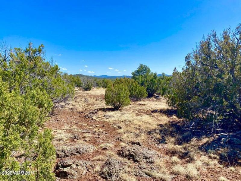 20250503072505915127000000-o