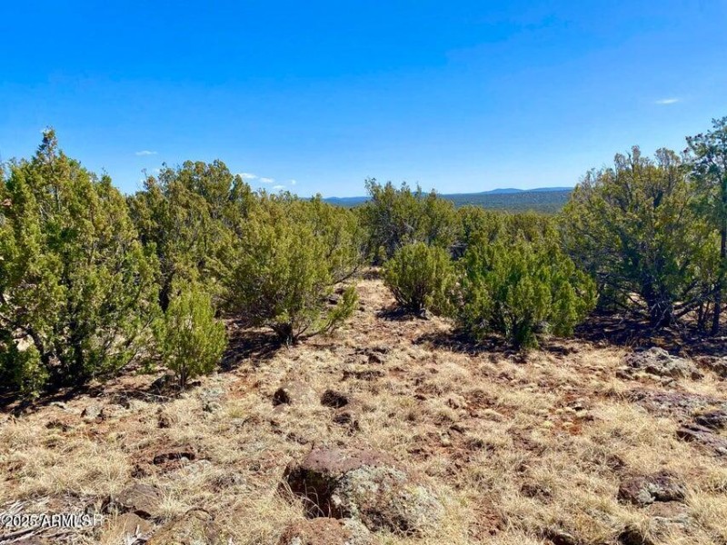 20250503072505976548000000-o