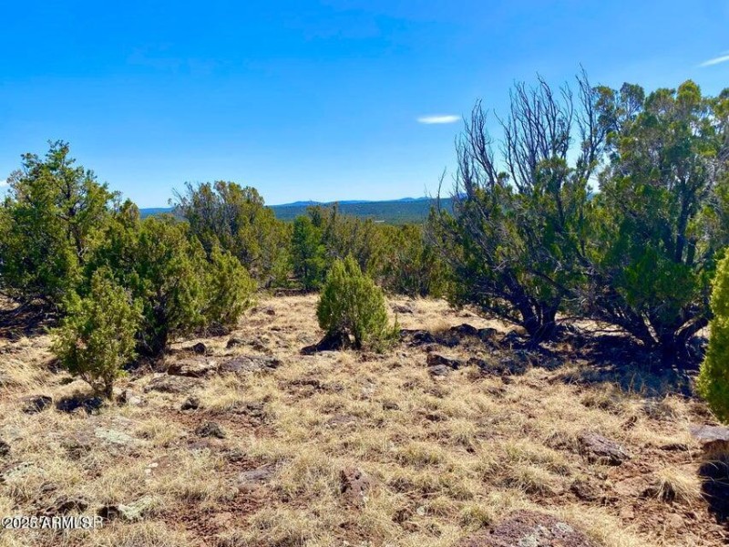 20250503072506231839000000-o