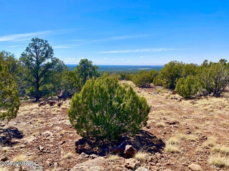 20250503072506361620000000-o