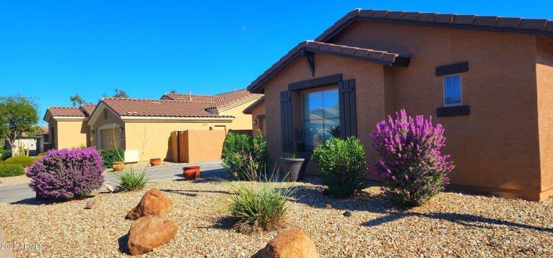 MAY THIS BE THE ONE!