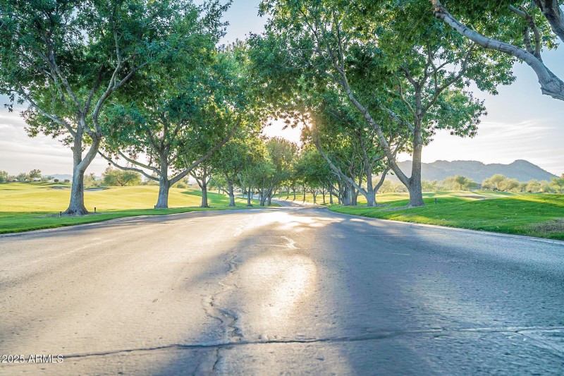 Golden - Community-27