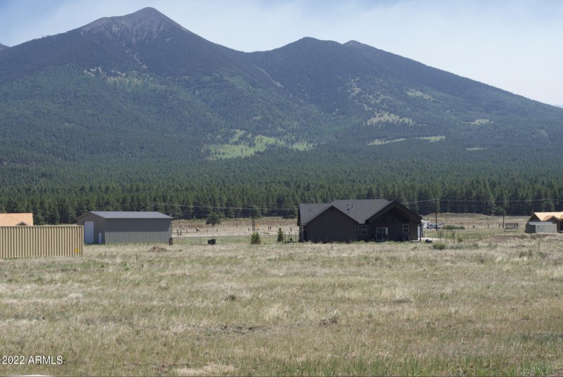 Screen Shot 2022-06-15 at 4.26.57 PM