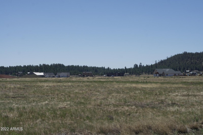 Screen Shot 2022-06-15 at 4.27.52 PM