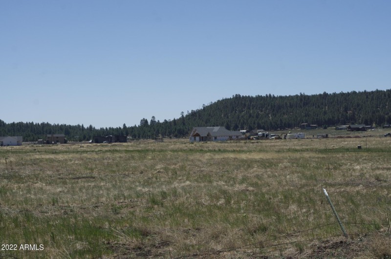 Screen Shot 2022-06-15 at 4.28.14 PM