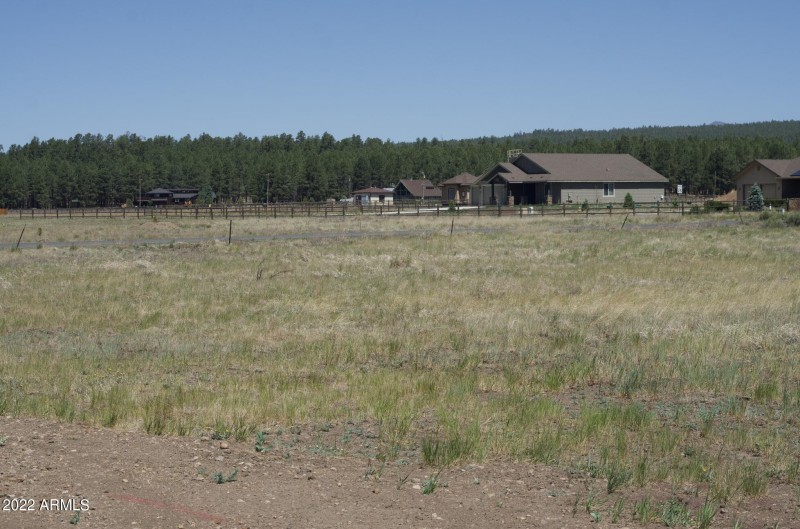 Screen Shot 2022-06-15 at 4.29.42 PM