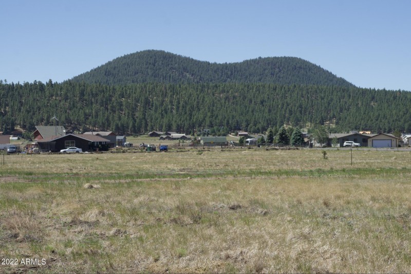 Screen Shot 2022-06-15 at 4.30.07 PM