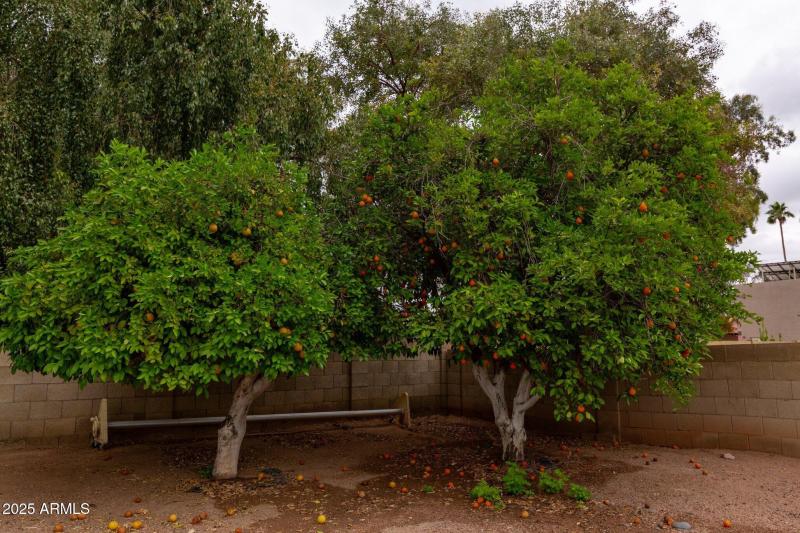 046-4107EastFairviewCircle-Mesa-AZ-85206