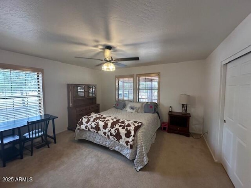 Downstairs Bedroom 1