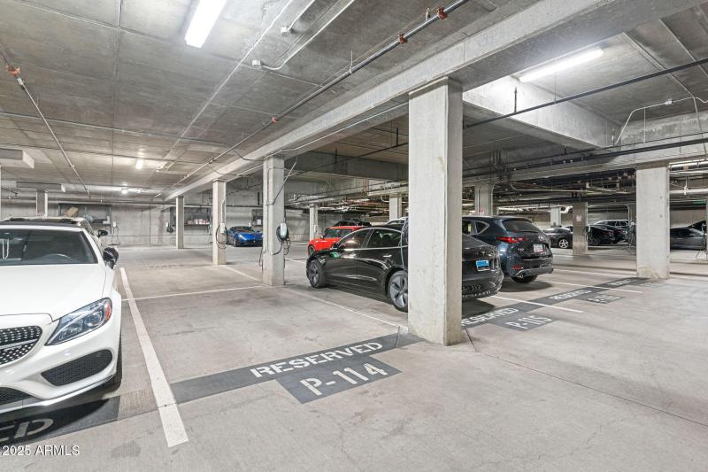 52-web-or-mls-DSC09990-1