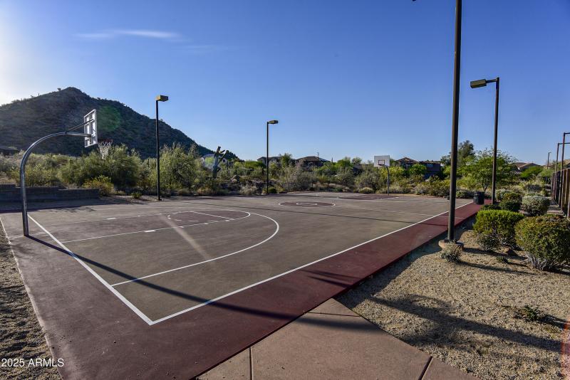 Basketball court