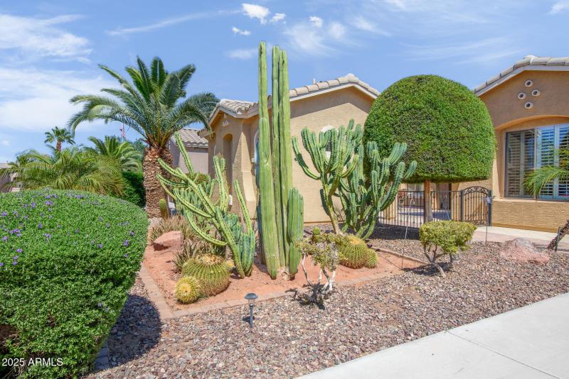 42311 W Good Vibrations Ln-8986-HDR-Edit