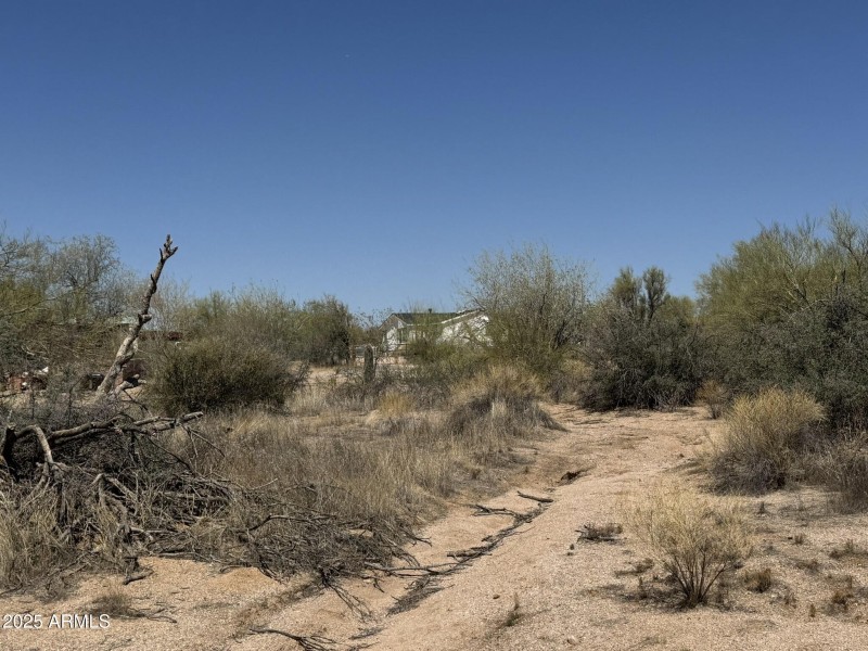 Bring Your ToysPets!