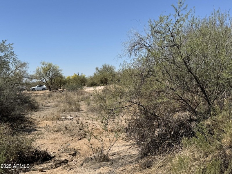 Peaceful Desert Living