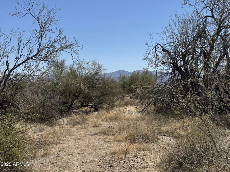 Desert Living Lifestyle