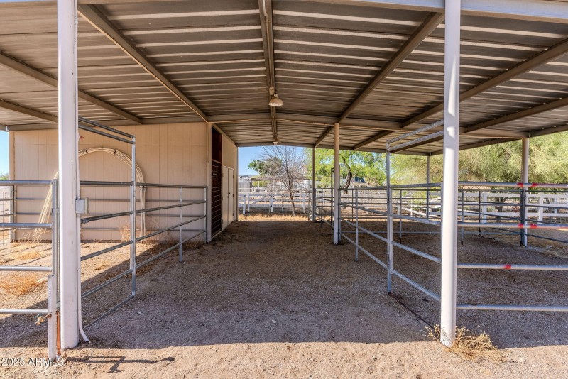 61-web-or-mls-Prospector-61