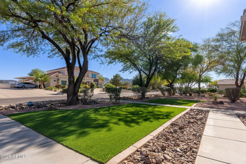 75-web-or-mls-Prospector-75