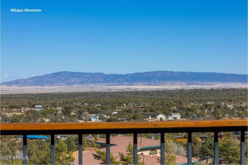 MIngus Mountain #731