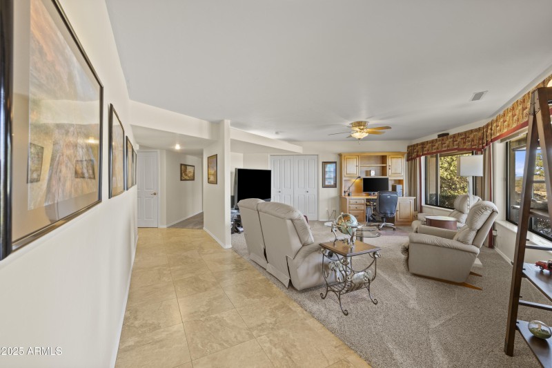 LOWER LEVEL LIVING ROOM