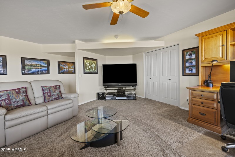 LOWER LEVEL LIVING ROOM