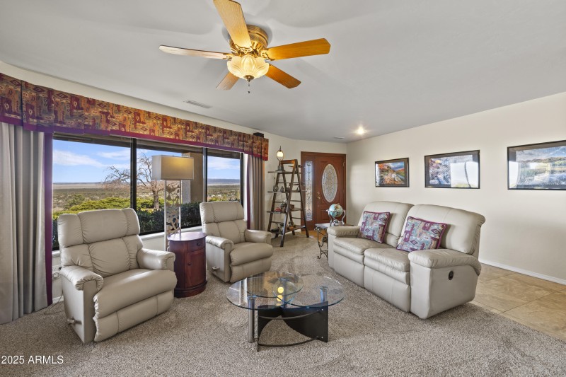 LOWER LEVEL LIVING ROOM