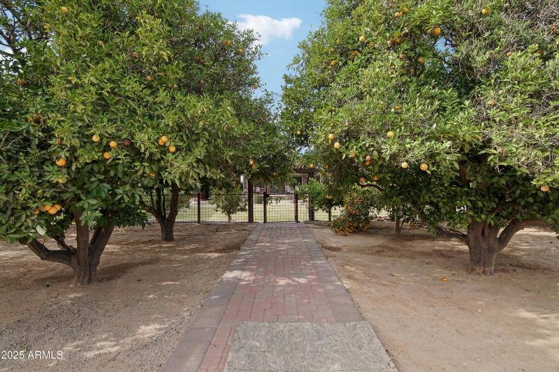 51-print-E Excelsior Ave-1305-051