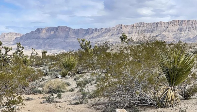 540 W Silver Creek LN