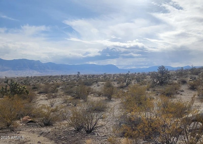 540 W Silver Creek LN