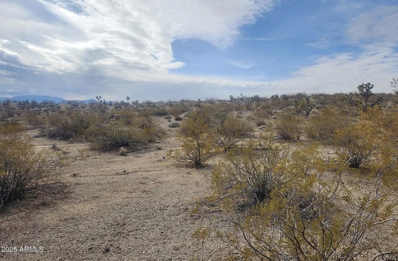 540 W Silver Creek LN