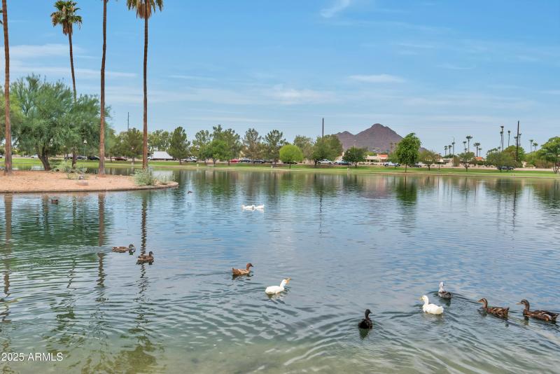 5111 N 83rd St, Scottsdale