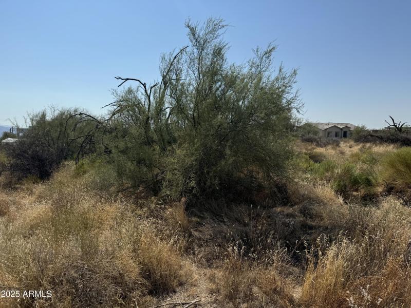 Build Your Dream Home Here