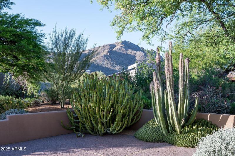 Beautiful Mountain Views