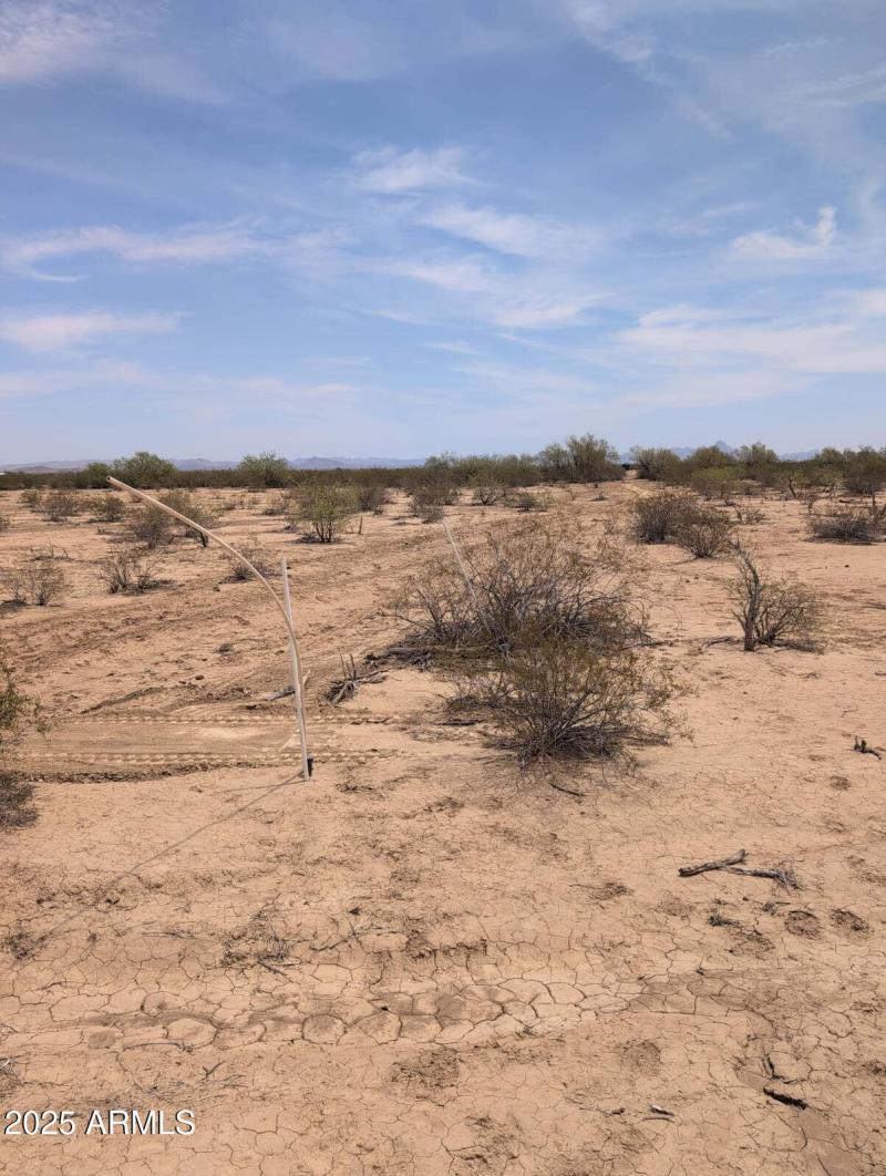 d3b18d1b-2799-4398-8601-445c1b09e641