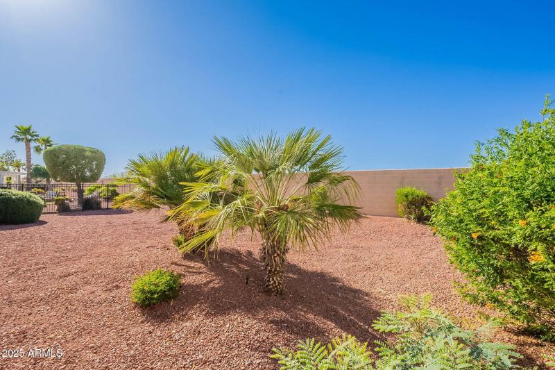 Desert Landscaping