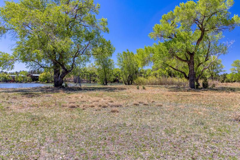 Peninsula Lot Area - larson rd property