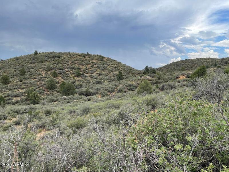 Lot 178B Lush Vegetation