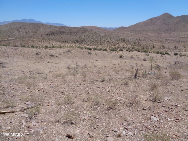 Tonto Forest behind lot