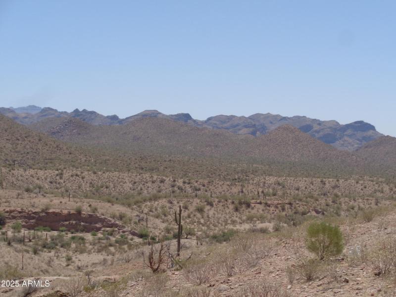 View of Superstion Mountains