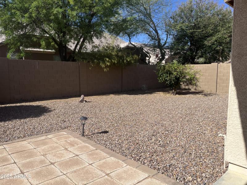 1535 Viola Back yard.