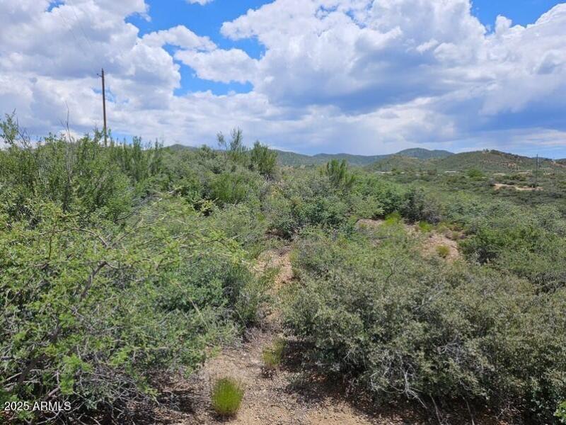 Site Built or MFG/Mobile allowed