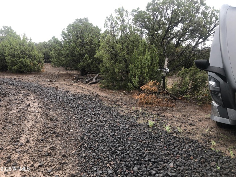 B7628A26-6569-4A52-87F0-29170D0C2547