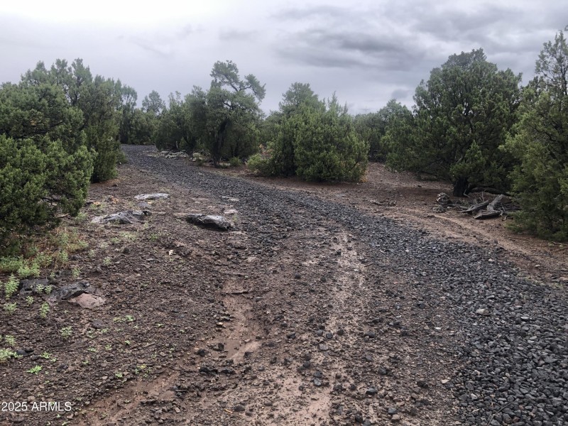 4B62ABA0-FD26-45E8-8E3F-D17C77A8444B