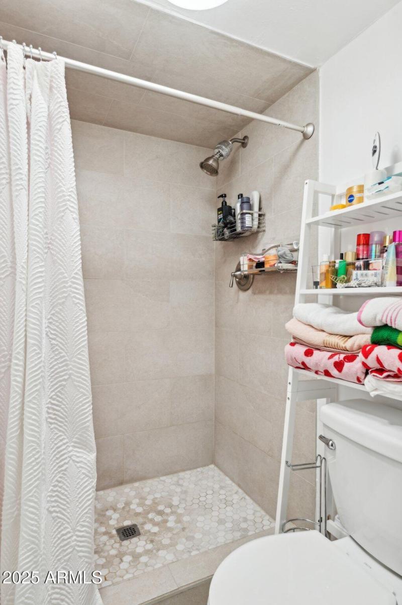 Ensuite bath 1 shower