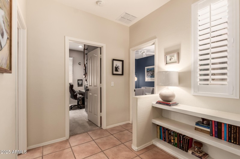 30 - Desert Honeysuckle