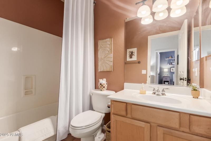 36 - Desert Honeysuckle