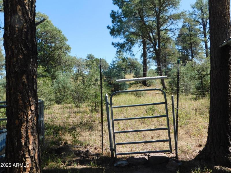 NATIONAL FOREST ACCESS